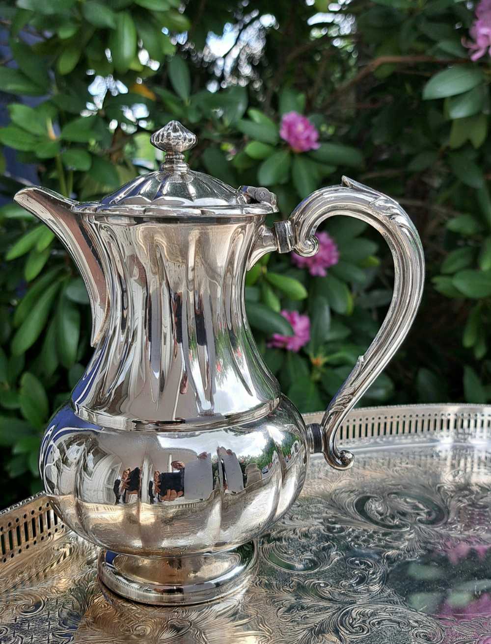 Mokkakännchen silver plated viktorianischer Stil Frontal Mokkakännchen, silver plated im viktorianischen Stil, gestempelt, mit schön geschwungenem Deckel und ausergewöhnlichem Knopf, Frontal.