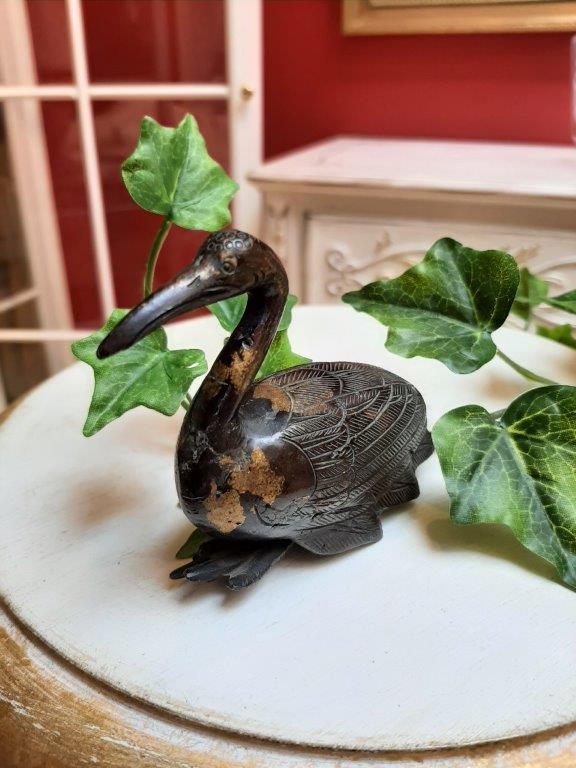 Asiatischer Bronzevogel – Ansicht von vorne links