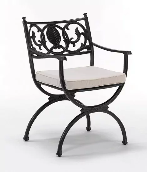 gartenmoebel-oxleys-armlehnstuhl-artemis-mattschwarz