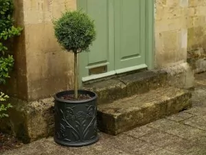 gartenmoebel-oxleys-pflanzgefaess-barrington-mattschwarz-frontal